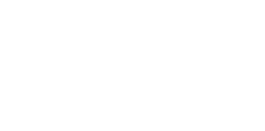Young Republic
